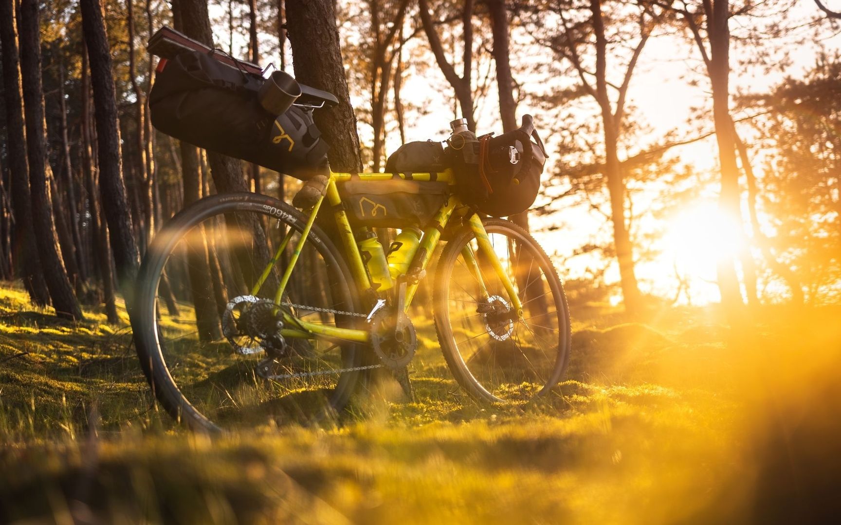 Geel gravelbike met bikepackingstassen in een zonnig bos